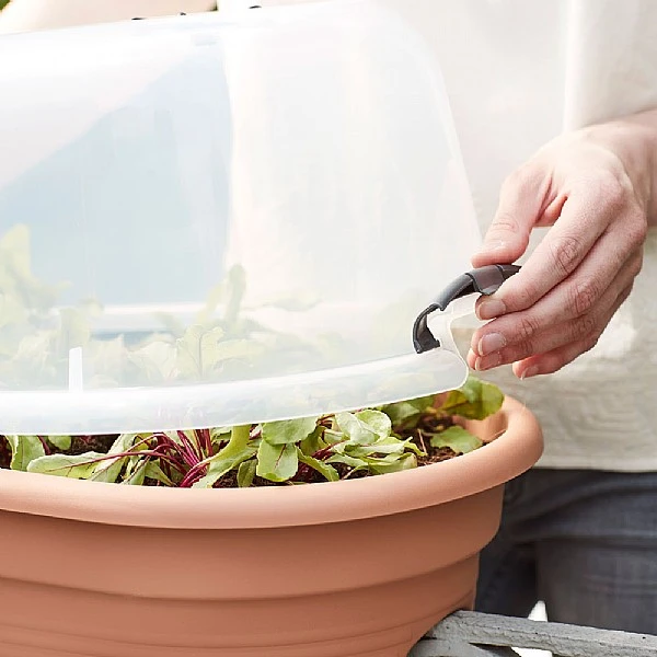 Elho Green Basics Flower Bridge Grow House 55cm 5 Elho Green Basics Flower Bridge Grow House 55cm - Image 5