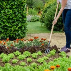 Outdoor Garden Care -Outdoor Garden Care 1031071 1