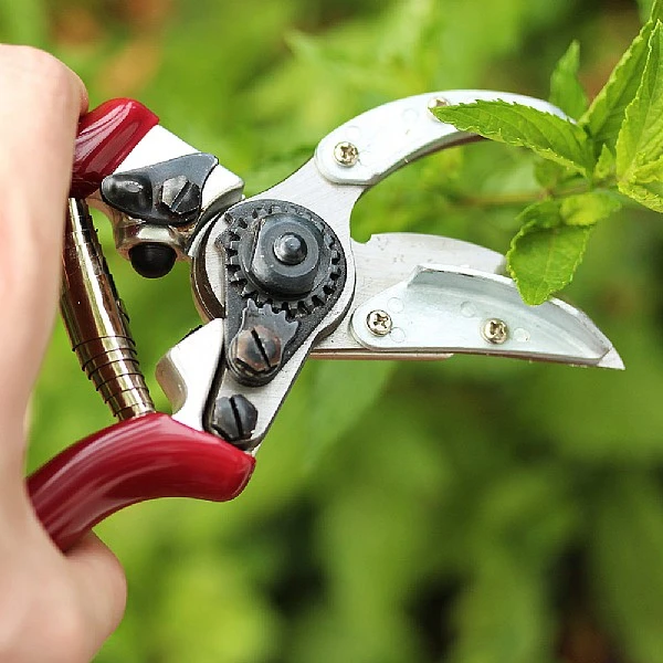 Kent & Stowe Rose Cut & Hold Secateurs 2 Kent & Stowe Rose Cut & Hold Secateurs - Image 2