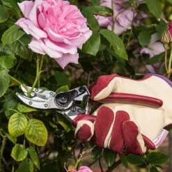 Kent & Stowe Rose Cut & Hold Secateurs 5 Kent & Stowe Rose Cut & Hold Secateurs -Outdoor Garden Care 1031091 2