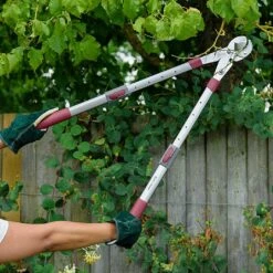 Kent & Stowe Telescopic Geared Anvil Loppers 5 Kent & Stowe Telescopic Geared Anvil Loppers -Outdoor Garden Care 1031097 2