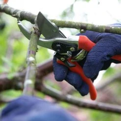 Wilkinson Sword Folding Pruner Saw & Pruner Set 6 Wilkinson Sword Folding Pruner Saw & Pruner Set -Outdoor Garden Care 1140375 2