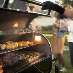 Outdoor Garden Care -Outdoor Garden Care 1176123 1