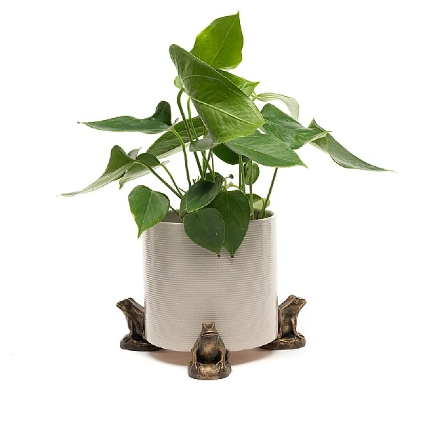 Jardinopia Plant Pot Feet Bronze Frog - Set Of 3 1 Jardinopia Plant Pot Feet Bronze Frog - Set Of 3