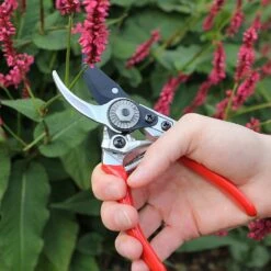 Darlac Small Bypass Pruner -Outdoor Garden Care 1202088 3