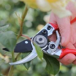 Darlac Small Bypass Pruner -Outdoor Garden Care 1202088 4