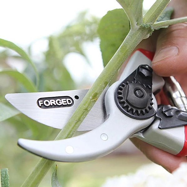 Darlac Expert Drop Forged Pruner 3 Darlac Expert Drop Forged Pruner - Image 3