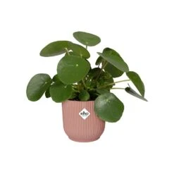 Elho Vibes Fold Round Planter 22cm Delicate Pink -Outdoor Garden Care 1230824 4