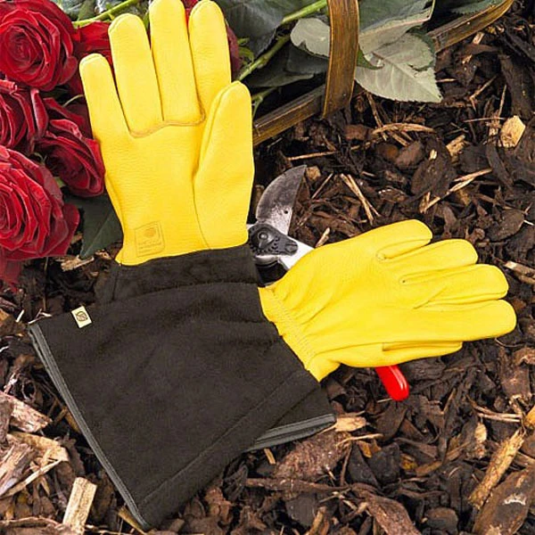 Gold Leaf Gents Tough Touch Gloves 1 Gold Leaf Gents Tough Touch Gloves