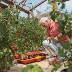 Hozelock Growbag Waterer -Outdoor Garden Care 771491 4