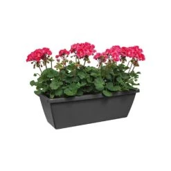 Elho Barcelona 90cm Trough (Various Colours) 6 Elho Barcelona 90cm Trough (Various Colours) -Outdoor Garden Care BARCTROUGH90 2