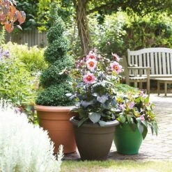 Stewarts Garden Palladian Planter 65cm (Various Colours)