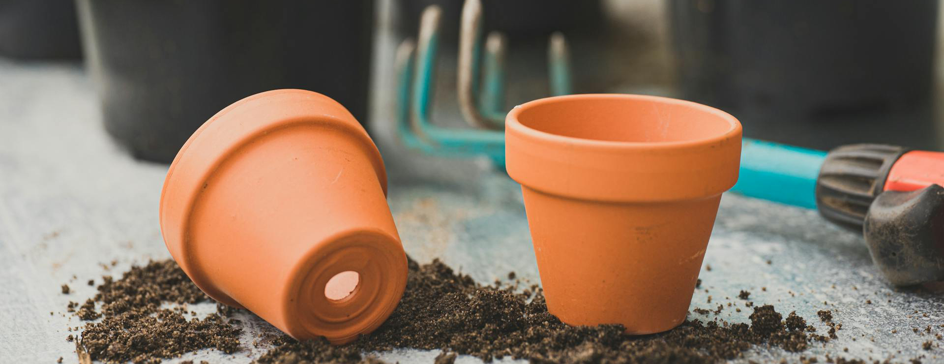 Outdoor Garden Care 1 Outdoor Garden Care -Outdoor Garden Care pexels nietjuhart 9057700